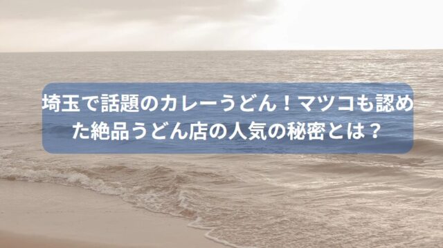 埼玉で話題のカレーうどん！マツコも認めた絶品うどん店の人気の秘密とは？